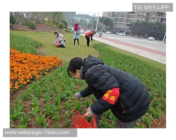 广州极限运动队的拼搏之路：一段不屈不挠的奋斗纪实